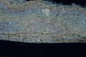 Cross Polarized, S92381