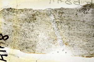 Plane Polarized, S92383