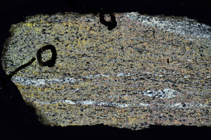 Cross Polarized, S92383/A