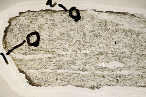 Plane Polarized, S92383/A