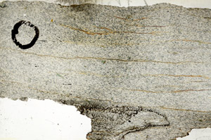 Plane Polarized, S92396