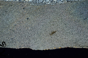 Cross Polarized, S92415