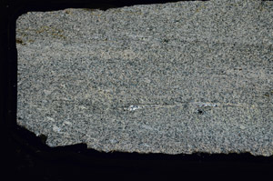 Cross Polarized, S92415/A