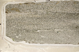 Plane Polarized, S92415/A