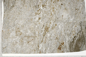 Plane Polarized, S92529