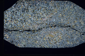 Cross Polarized, S92614