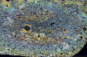 Cross Polarized, S92696/A