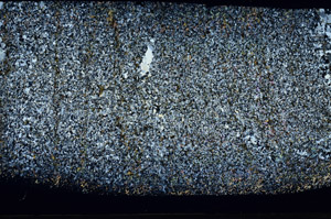 Cross Polarized, S92737