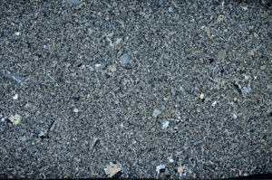 Cross Polarized, S92772