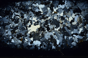 Cross Polarized, S92850