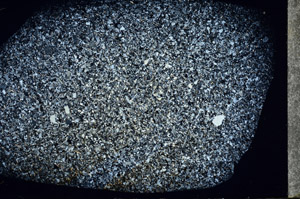 Cross Polarized, S92929