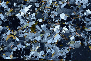 Cross Polarized, S92979