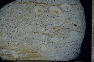 Cross Polarized, S93012