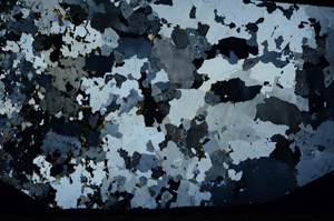 Cross Polarized, S93104