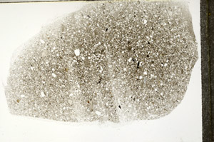 Plane Polarized, S93163