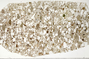 Plane Polarized, S93228