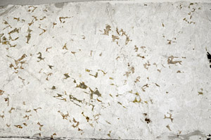 Plane Polarized, S93535