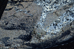 Cross Polarized, S93577/A