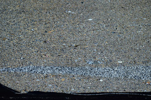 Cross Polarized, S93581