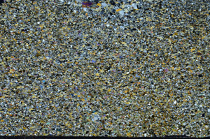 Cross Polarized, S93655