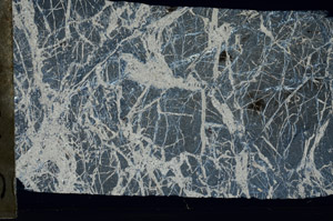 Cross Polarized, S93701