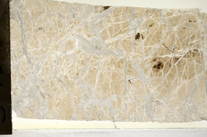 Plane Polarized, S93701