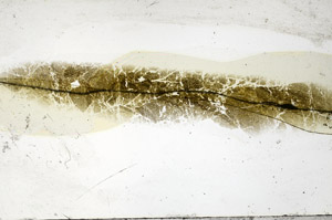 Plane Polarized, S93707