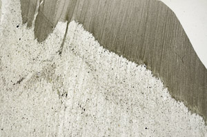 Plane Polarized, S93942/A