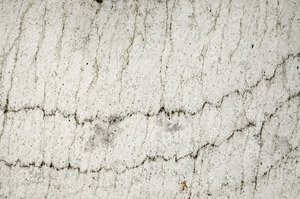 Plane Polarized, S93942/B