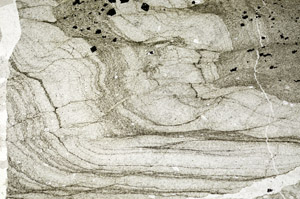 Plane Polarized, S93943