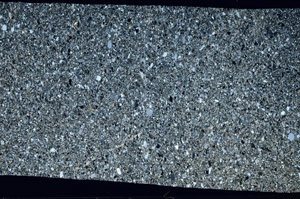 Cross Polarized, S93961