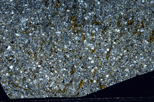 Cross Polarized, S93967/B