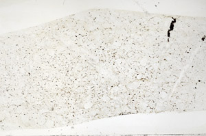 Plane Polarized, S94072