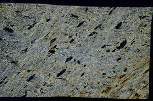 Cross Polarized, S94113