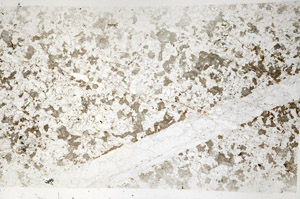 Plane Polarized, S94137