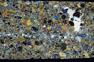 Cross Polarized, S94161/A