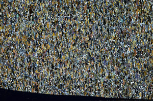 Cross Polarized, S94196/A