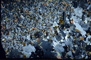 Cross Polarized, S94301