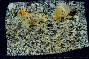 Cross Polarized, S94442