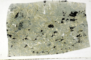 Plane Polarized, S94442