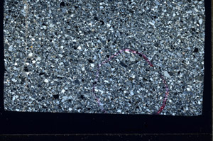 Cross Polarized, S94485