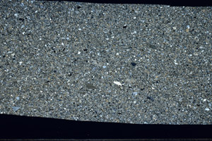 Cross Polarized, S94501