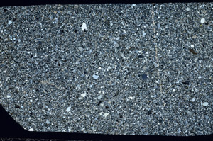 Cross Polarized, S94505