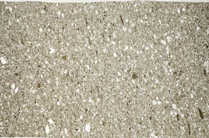 Plane Polarized, S94572/A