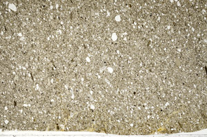 Plane Polarized, S94573