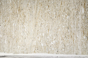 Plane Polarized, S94586/a