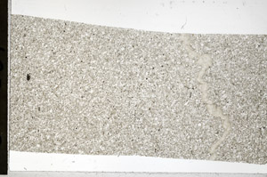 Plane Polarized, S94589