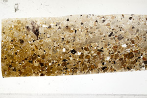 Plane Polarized, S94864