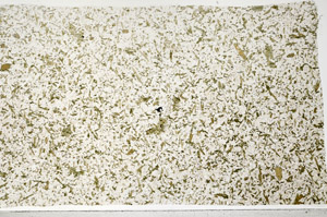 Plane Polarized, S95059