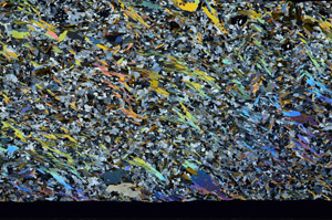 Cross Polarized, S95190